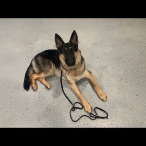 Meet your Posher, Christy